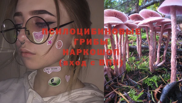мяу мяу мука Белокуриха