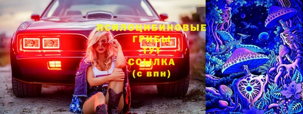 мяу мяу мука Белокуриха