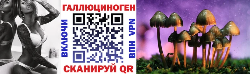 Галлюциногенные грибы GOLDEN TEACHER  Реутов 